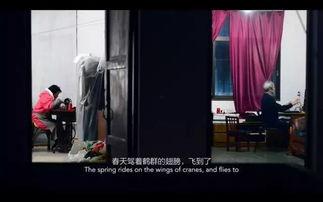 国产第一影院,光影交织,见证中国电影辉煌历程